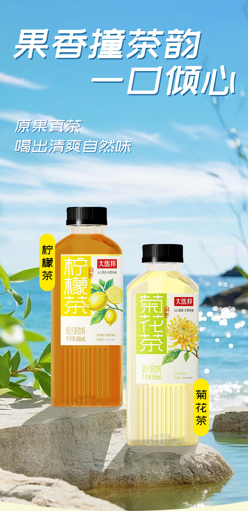 500mL詳情頁_01.jpg